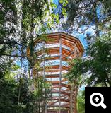 1 - Tour d'observation dans la foret d'Avondale en Irlande ( WIEHAG)